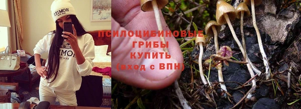 метадон Рославль