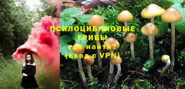 MDMA Алексеевка