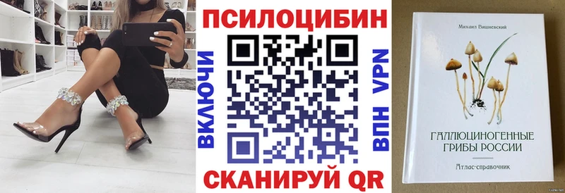 Галлюциногенные грибы Cubensis наркотики Гвардейск